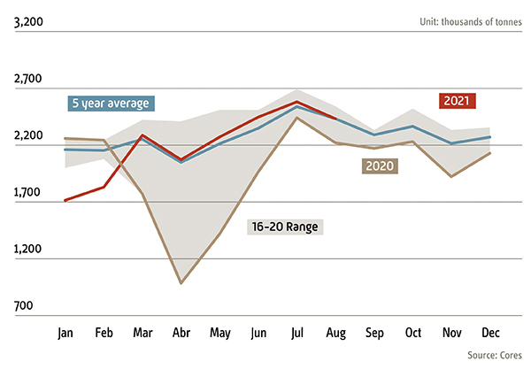 evolucion_consumo_combustible_eng.jpg