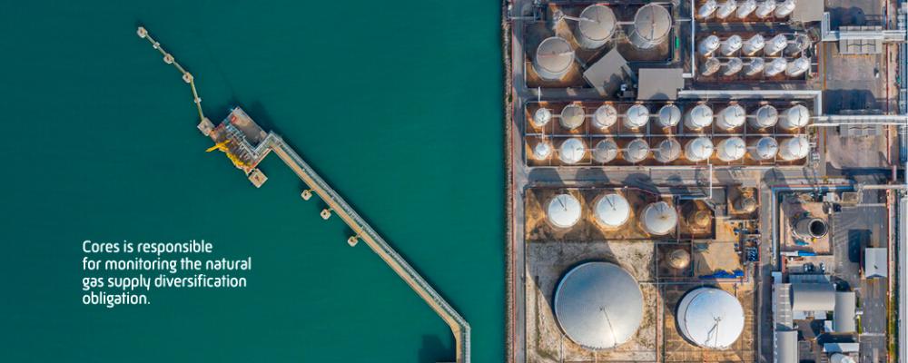 Core is responsible for monitoring the natural gas supply diversification obligation