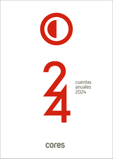 Informe de cuentas 2024
